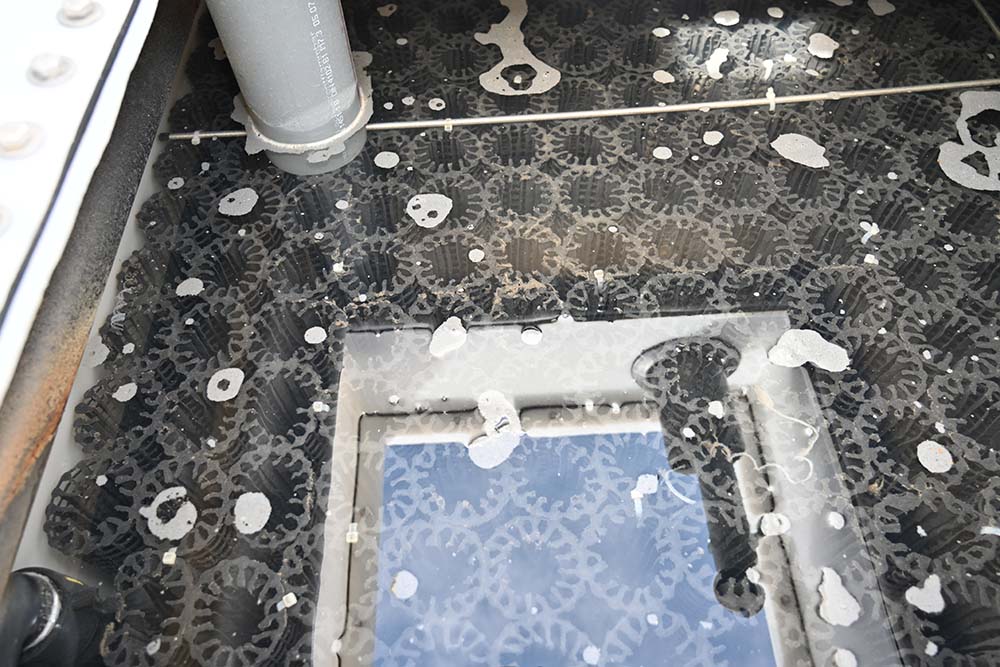 ClearFox FBBR for winery