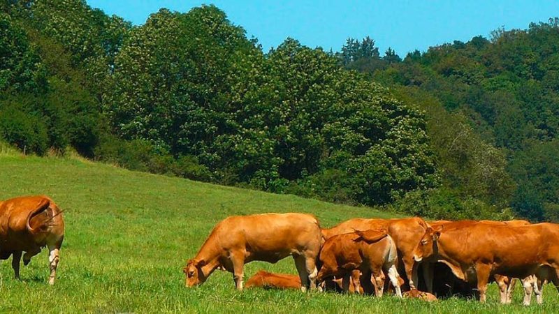 ClearFox wastewater treatment solution for farmers